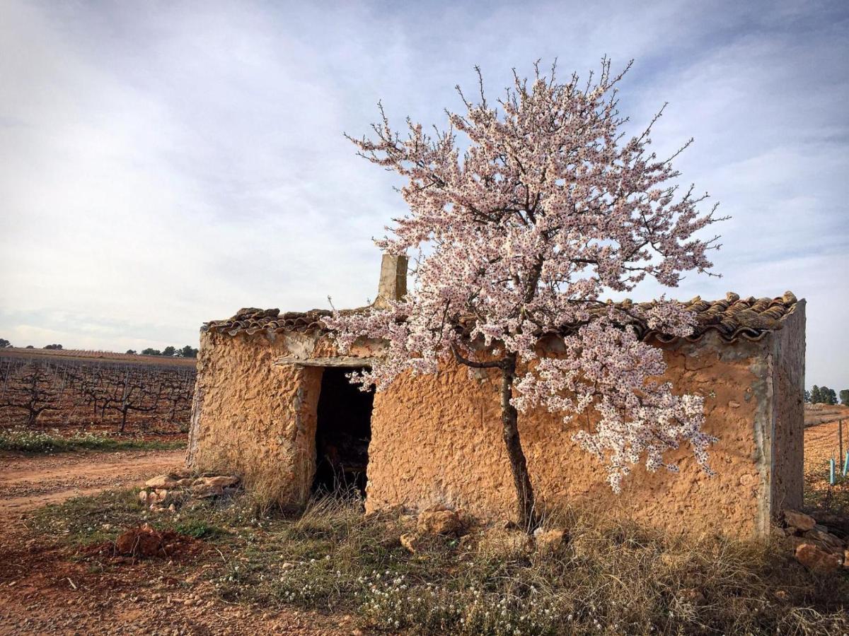 Casa Rural Rio Cabriel Villamalea Kültér fotó