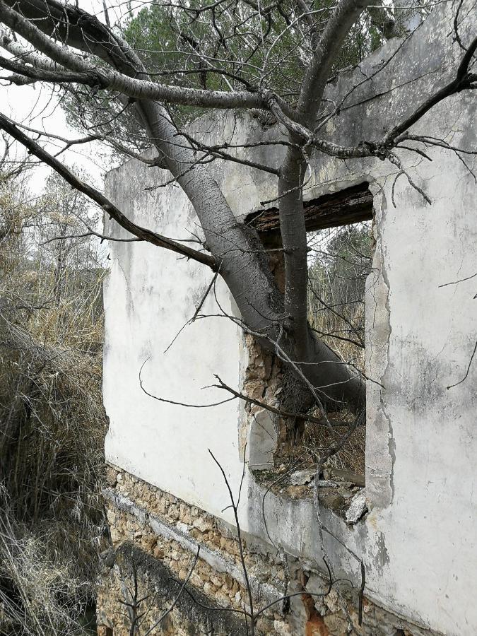 Casa Rural Rio Cabriel Villamalea Kültér fotó